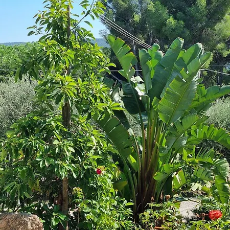 Elba-bella Casa In Campagna, Meraviglioso Giardino, Animali Ammessi Holiday home